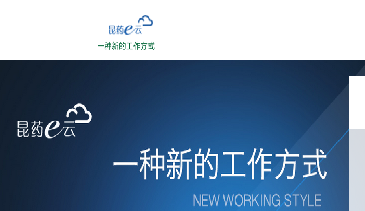 昆药集团数据集市